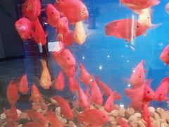 -星悦汇棋牌(徐泾店)