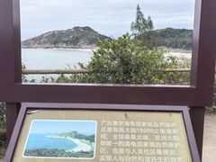 -广东惠东海龟国家级自然保护区