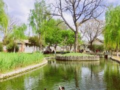 -春风习习