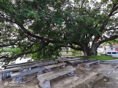 -良溪古村