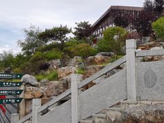 -青藏高原野生动物园