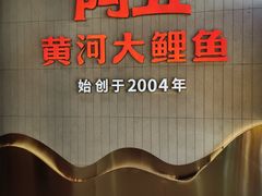 -阿五黄河大鲤鱼(海尚店)