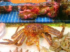 -渔人湾码头海鲜市场负二楼