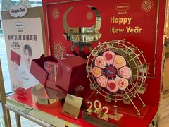 -哈根达斯(国瑞店)