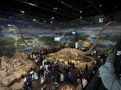 -自贡恐龙博物馆