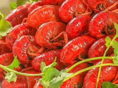 -兄弟宁乡龙城(麓景路店)