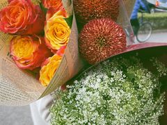-双季花艺园艺市场(浦东店)
