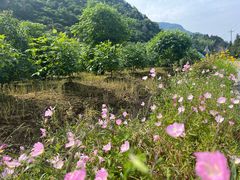 -仙岛湖旅游风景区