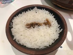 猪油拌饭-文和友老长沙龙虾馆(化龙池店)