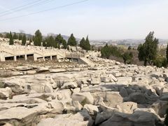 -原山国家森林公园