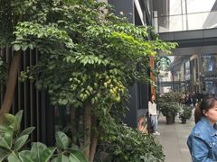 -星巴克臻选(成都太古里店)