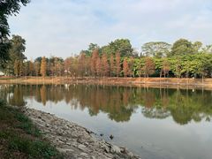 -华南国家植物园-售票处