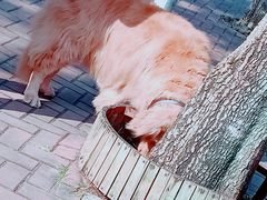 -白沙门生态公园