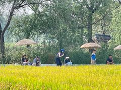 -西青郊野公园