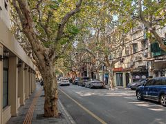 -老洋房花园饭店(绍兴路店)