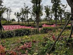 -春花秋色城市公园