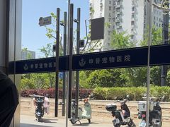 -申普宠物医院·眼科·心内科·影像科(普陀分院)