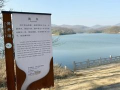 -佛手湖郊野公园
