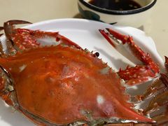 梭子蟹-小红门海鲜