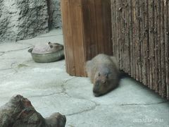 -武汉动物园