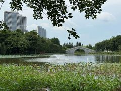 -映月湖公园