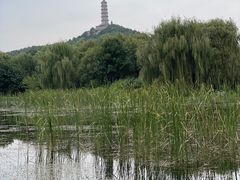 -北坞公园