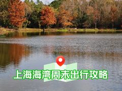 -上海海湾国家森林公园