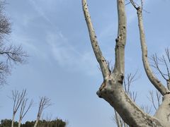 -浙江大学(玉泉校区)