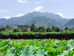 -长安上水缘度假庄园