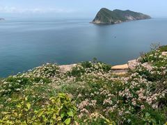 -东澳岛