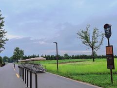 -汉长安城未央宫国家考古遗址公园