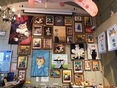 -猫咪博物馆(顶澳仔猫街店)