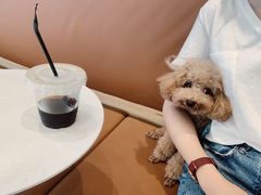 -MQ COFFEE STAND明谦(新洲店)