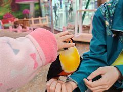 -正佳雨林生态植物园