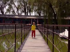 -东方巨龟苑景区