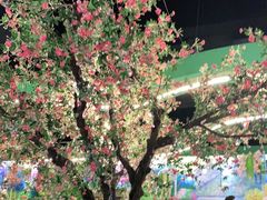 -巧可爱活鱼鲜牛肉私房菜(财富中心店)