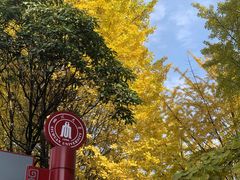-四川大学(望江校区)