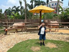 -泉州海丝野生动物世界