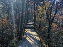 -罗田天堂寨风景区