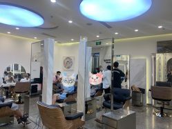 -Rise Hair上升造型