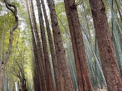 -同里国家湿地公园