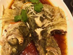 清蒸鳜鱼-双井轩(双井店)