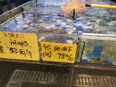 -老伙记海鲜码头(北滘店)