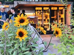 -毛辣果·酸(OHA复兴西路店)