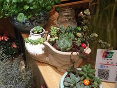 -爱尚幸福鲜花(上地实体店)