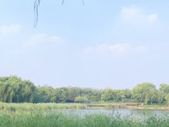 -北坞公园