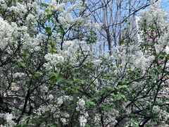 -中福百货(望京店)