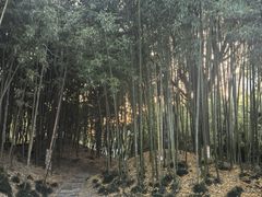 -水绘园