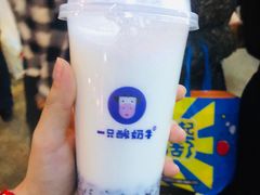 -一只酸奶牛(八一路店)