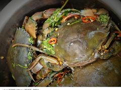 -圆蛋酒料•生腌(开元路店)